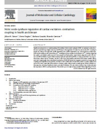 Nitric oxide synthase regulation of cardiac excitation–contraction coupling in health and disease