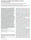 The spectrum of kidney biopsy findings in patients with morbid obesity