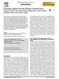 Emerging insights into the biology of typhoid toxin