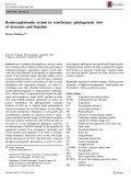 Renin-angiotensin system in vertebrates: phylogenetic view of structure and function