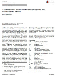 Renin-angiotensin system in vertebrates: phylogenetic view of structure and function