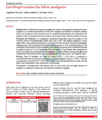 Levobupivacaine for labor analgesia