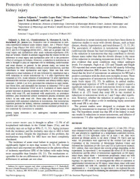 Protective role of testosterone in ischemia-reperfusion-induced acute kidney injury