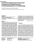 The Renin-Angiotensin System and Progression of Renal Disease: From Hemodynamics to Cell Biology