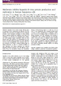 Metformin inhibits hepatitis B virus protein production and replication in human hepatoma cells