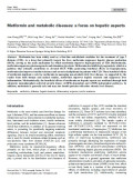 Metformin and metabolic diseases: a focus on hepatic aspects