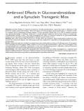 Ambroxol Effects in Glucocerebrosidase and a-Synuclein Transgenic Mice