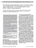 The Relationship Between Slow Coronary Flow and Angiotensin Converting Enzyme and ATIIR1 Gene Polymorphisms