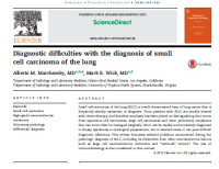 Diagnostic difficulties with the diagnosis of small cell carcinoma of the lung