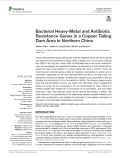 Bacterial Heavy-Metal and Antibiotic
Resistance Genes in a Copper Tailing
Dam Area in Northern China