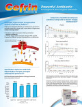 Comparison of Strategies Using Cefpirome and Ceftazidime for Empiric Treatment of Pneumonia in Intensive Care Patients