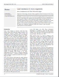 Lead resistance in micro-organisms