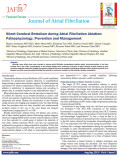 Silent Cerebral Embolism during Atrial Fibrillation Ablation: Pathophysiology, Prevention and Management