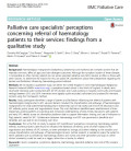 Palliative care specialists’ perceptions concerning referral of haematology patients to their services: findings from a qualitative study