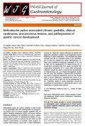 Helicobacter pylori associated chronic gastritis, clinical syndromes, precancerous lesions, and pathogenesis of gastric cancer development