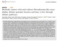 Phyllodes tumors with and without fibroadenoma-like areas display distinct genomic features and may evolve through distinct pathways