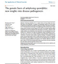 The genetic basis of ankylosing spondylitis: new insights into disease pathogenesis