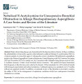 Nebulised N-Acetylcysteine for Unresponsive Bronchial Obstruction in Allergic Brochopulmonary Aspergillosis: A Case Series and Review of the Literature