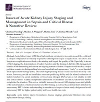 Issues of Acute Kidney Injury Staging and Management in Sepsis and Critical Illness: A Narrative Review