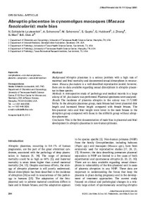 Abruptio placentae in cynomolgus macaques (Macaca fascicularis): male bias