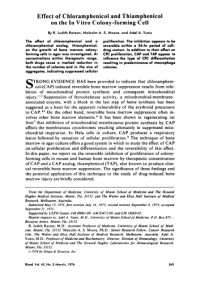 Effect of Chloramphenicol and Thiamphenicol on the In Vitro Colony-forming Cell