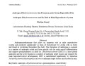 Androgen Dihydrotestosterone dan Perannya pada Sistem Reproduksi Pria