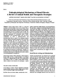 Pathophysiological Mechanisms of Renal Fibrosis: A Review of Animal Models and Therapeutic Strategies