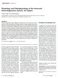 Physiology and Pathophysiology of the Intrarenal Renin-Angiotensin System: An Update