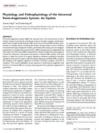 Physiology and Pathophysiology of the Intrarenal Renin-Angiotensin System: An Update