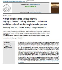 Novel insights into acute kidney injuryechronic kidney disease continuum and the role of renineangiotensin system