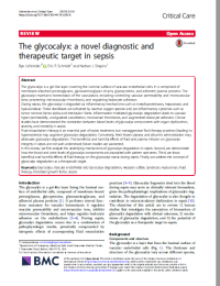 The glycocalyx: a novel diagnostic and
therapeutic target in sepsis