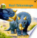 Bayi Triceratops