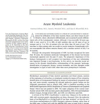 Image of Acute Myeloid Leukemia