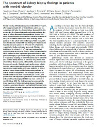 Image of The spectrum of kidney biopsy findings in patients with morbid obesity