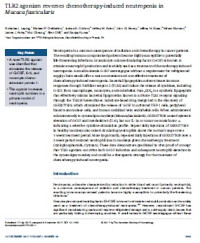 Image of TLR2 agonism reverses chemotherapy-induced neutropenia in Macaca fascicularis