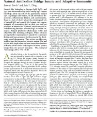 Image of Natural Antibodies Bridge Innate and Adaptive Immunity