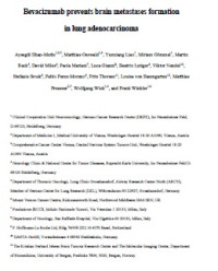 Image of Bevacizumab prevents brain metastases formation in lung adenocarcinoma