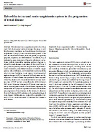 Image of Role of the intrarenal renin–angiotensin system in the progression of renal disease