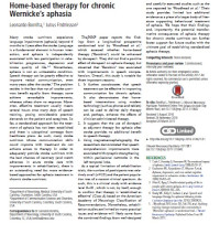 Image of Home-based therapy for chronic Wernicke’s aphasia