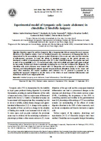 Image of Experimental model of tympanic colic (acute abdomen) in chinchillas (Chinchilla lanigera)