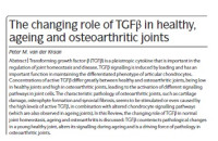 Image of The changing role of TGFβ in healthy, ageing and osteoarthritic joints