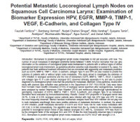 Image of Potential Metastatic Locoregional Lymph Nodes on Squamous Cell Carcinoma Larynx: Examination of Biomarker Expression HPV, EGFR, MMP-9, TIMP-1, VEGF, E-Cadherin, and Collagen Type IV