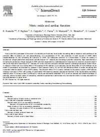 Image of Nitric oxide and cardiac function