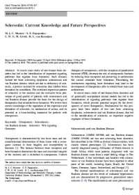 Image of Sclerostin: Current Knowledge and Future Perspectives