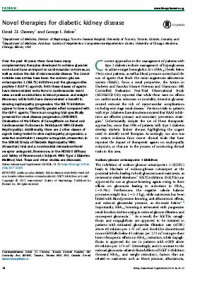 Image of Novel therapies for diabetic kidney disease