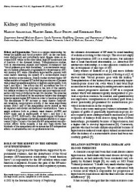 Image of Kidney and hypertension