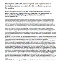 Image of Disruption of P2X4 purinoceptor and suppression of the inflammation associated with cerebral aneurysm formation