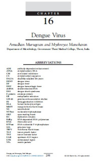 Image of Dengue Virus