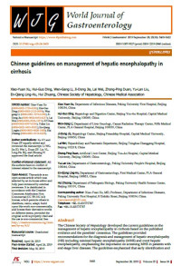 Image of Chinese guidelines on management of hepatic encephalopathy in cirrhosis