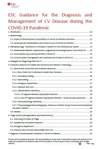 Image of ESC Guidance for the Diagnosis and Management of CV Disease during the COVID-19 Pandemic